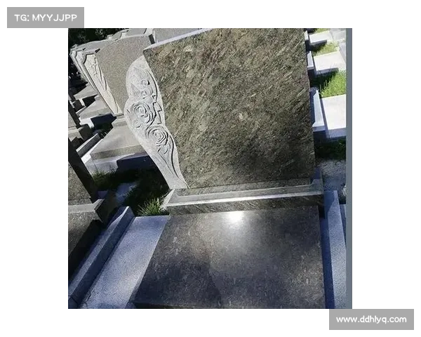 沙里夫:历史文化交汇点与现代发展的典范 沙里夫:历史文化交汇点与现代发展的典范